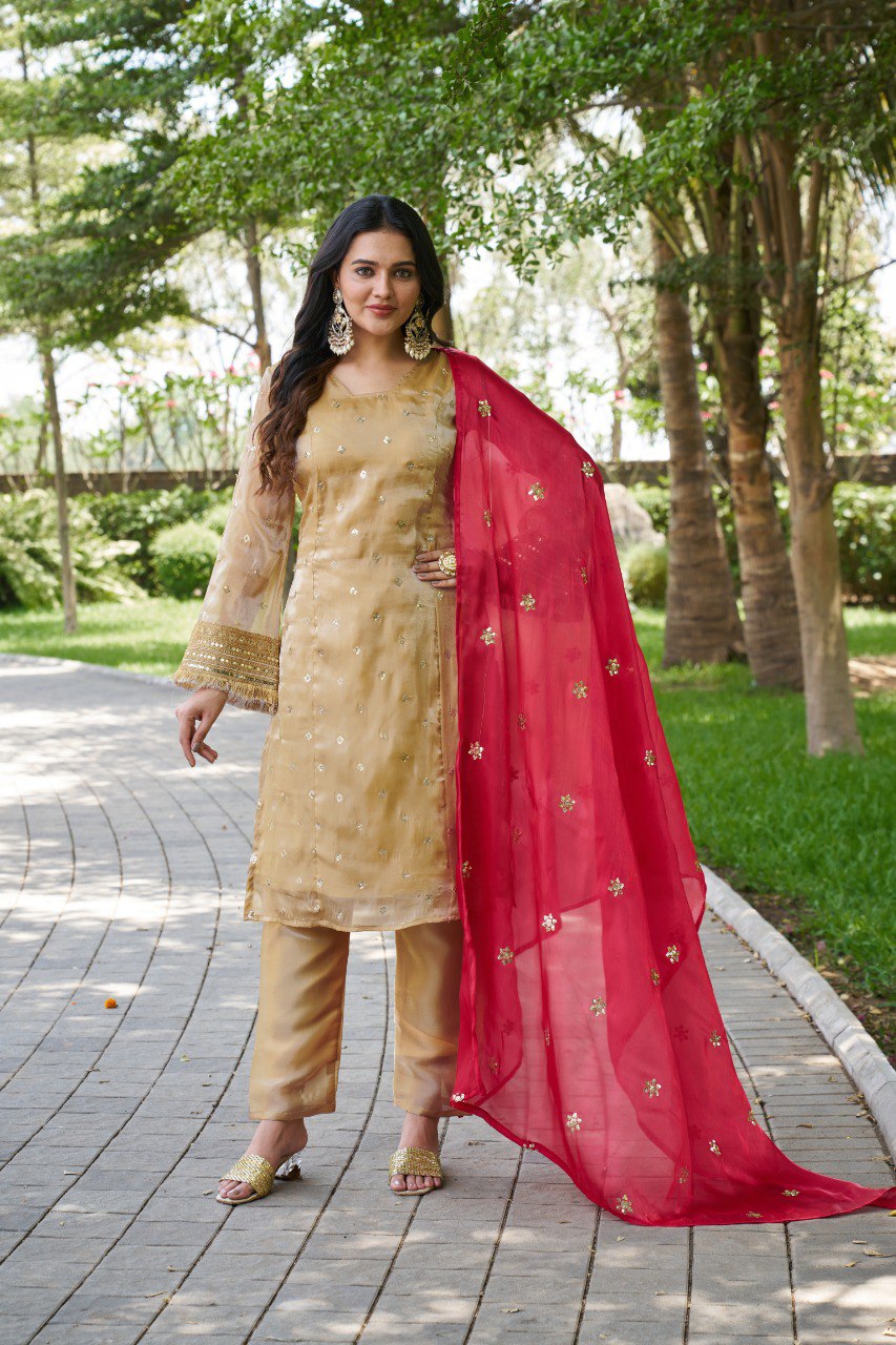 Mahi's Chiku Colours Suit Set With Duble  Duptta Red & Green Bell Sleeves