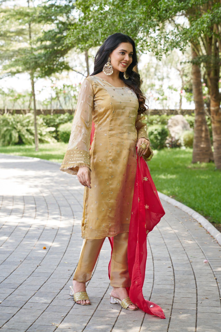 Mahi's Chiku Colours Suit Set With Duble  Duptta Red & Green Bell Sleeves