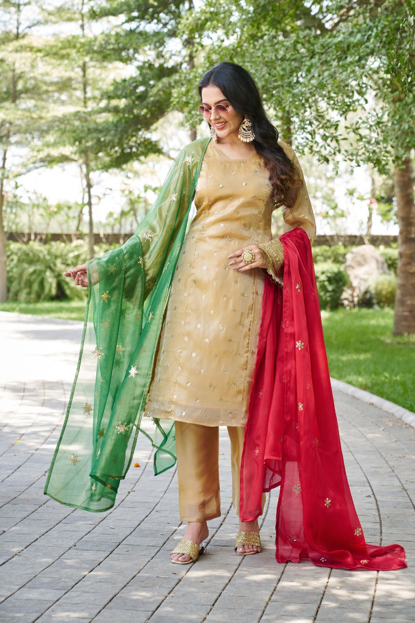 Mahi's Chiku Colours Suit Set With Duble  Duptta Red & Green Bell Sleeves