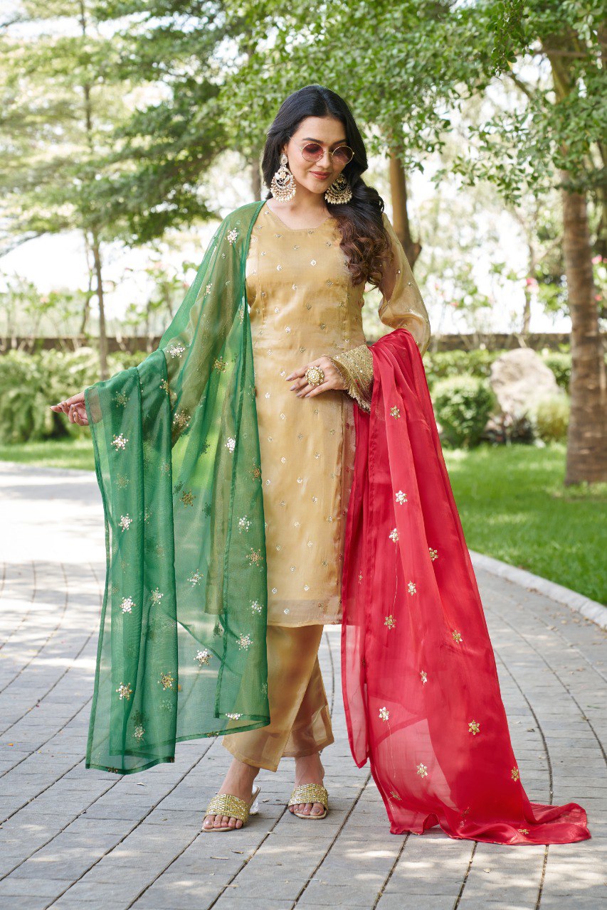 Mahi's Chiku Colours Suit Set With Duble  Duptta Red & Green Bell Sleeves
