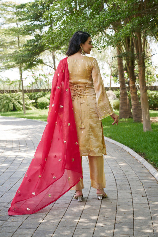 Mahi's Chiku Colours Suit Set With Duble  Duptta Red & Green Bell Sleeves