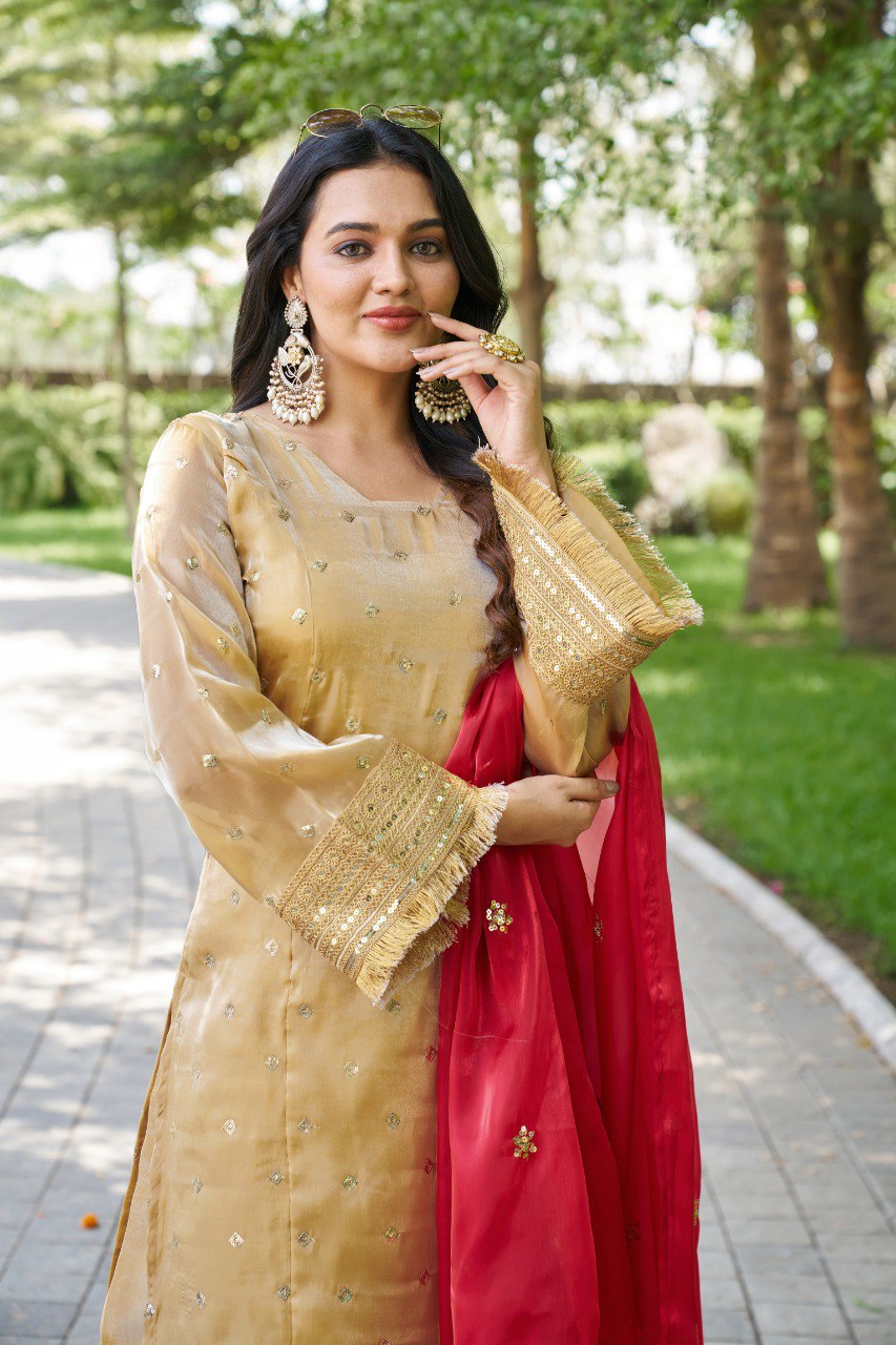 Mahi's Chiku Colours Suit Set With Duble  Duptta Red & Green Bell Sleeves